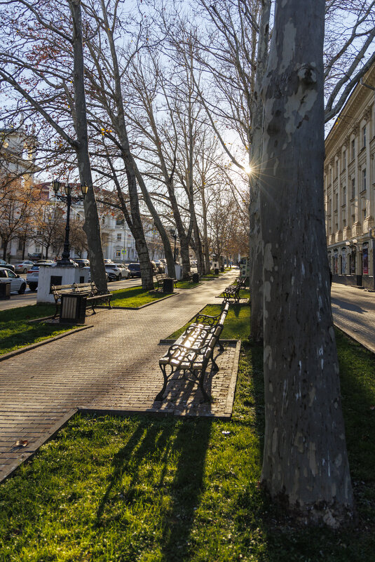 Севастополь, центр - Светлана Тихонина