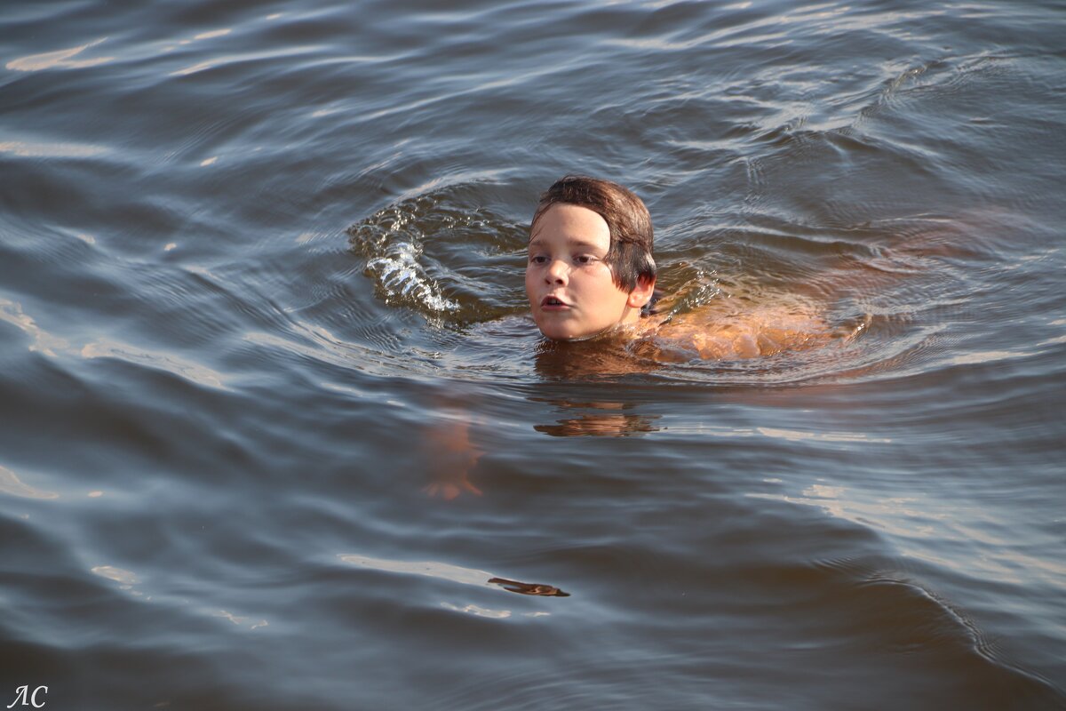 Купание в Финском заливе - Любовь Сахарова