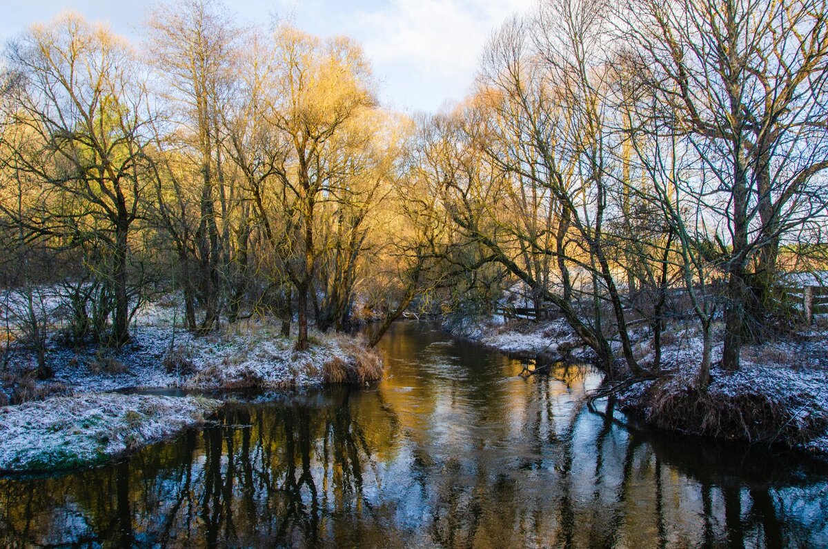 _____ - Галина Ложечникова