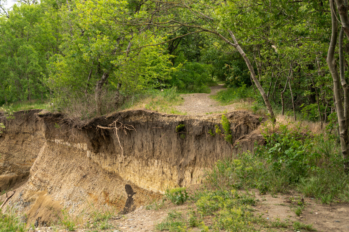 Раньше тут была дорога - Игорь Сикорский