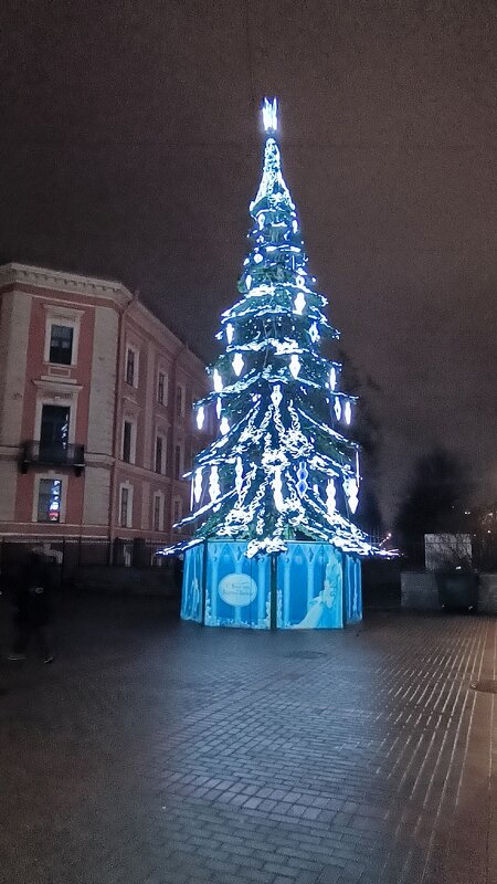 Ёлочка у БКЗ Октябрьский. - Ольга 