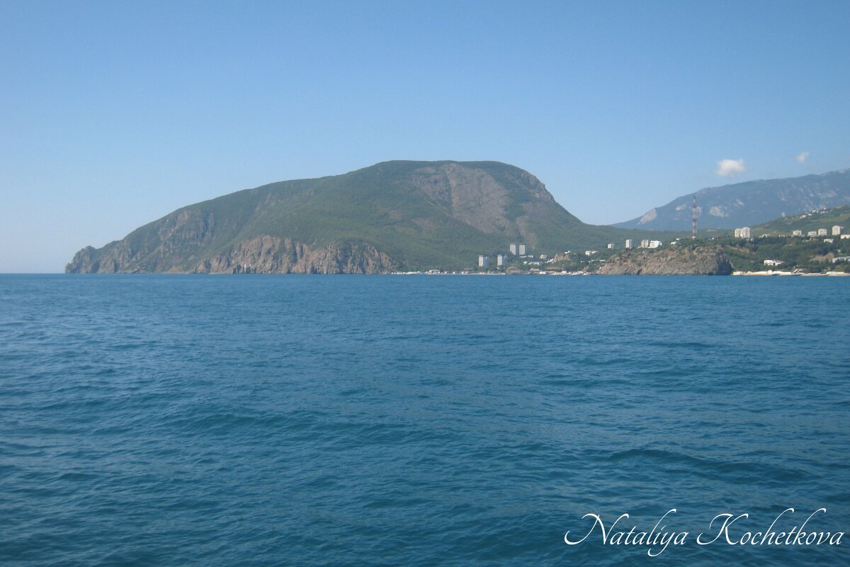 Природа Крыма - Amazing Cosmea