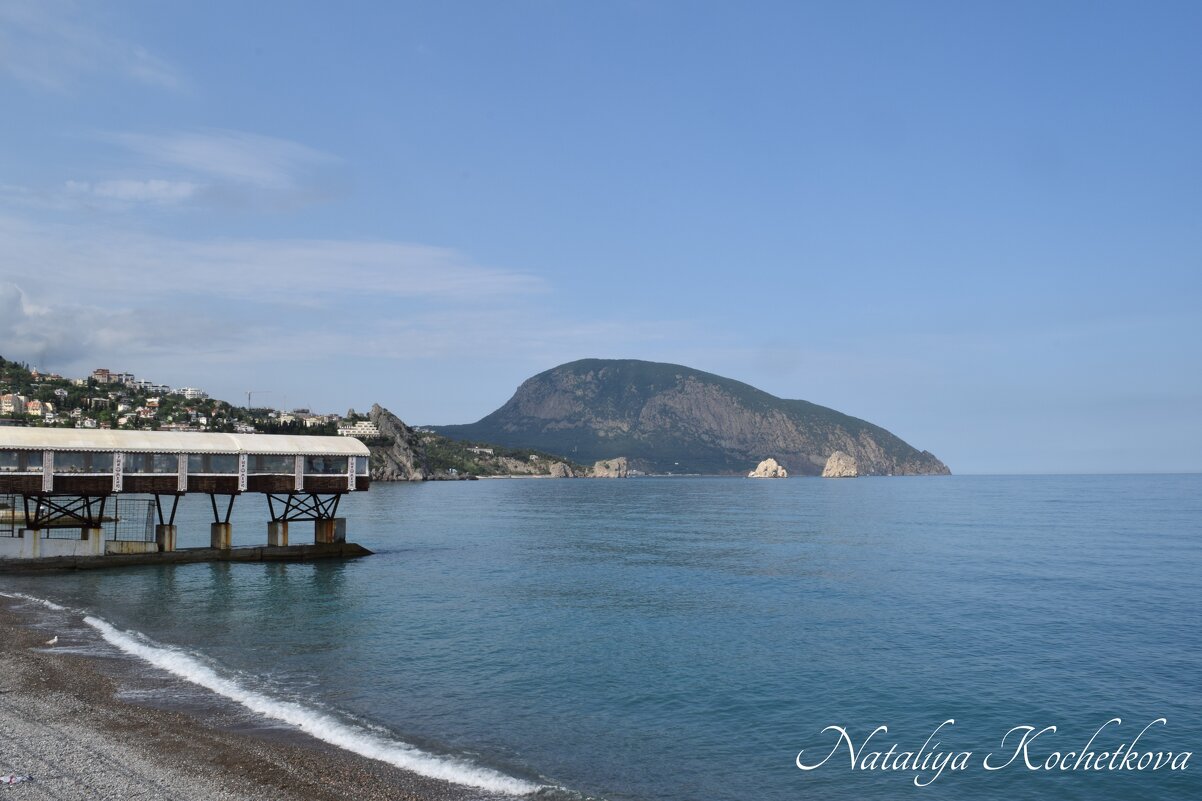 Природа Крыма - Amazing Cosmea