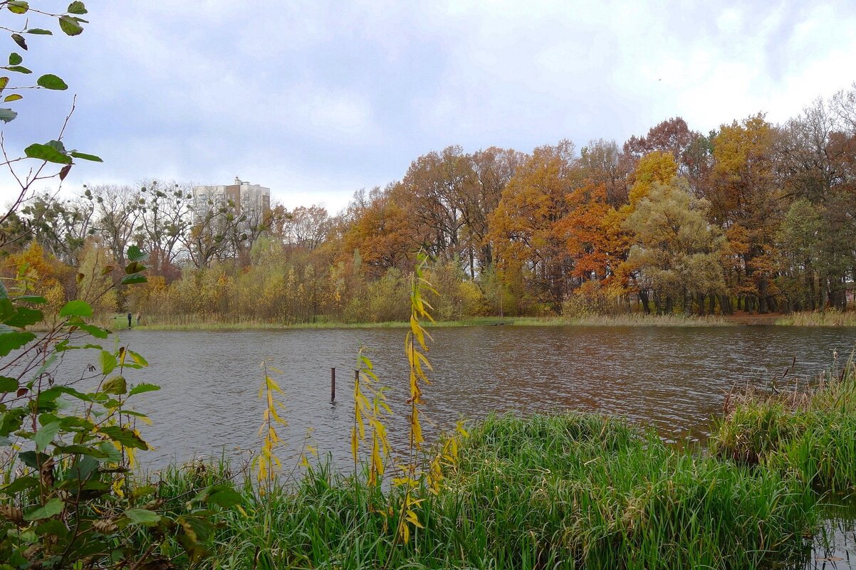 Озеро Лесное, Калининград - Рита Симонова Озеро Лесное, Калининград - Рита Симонова