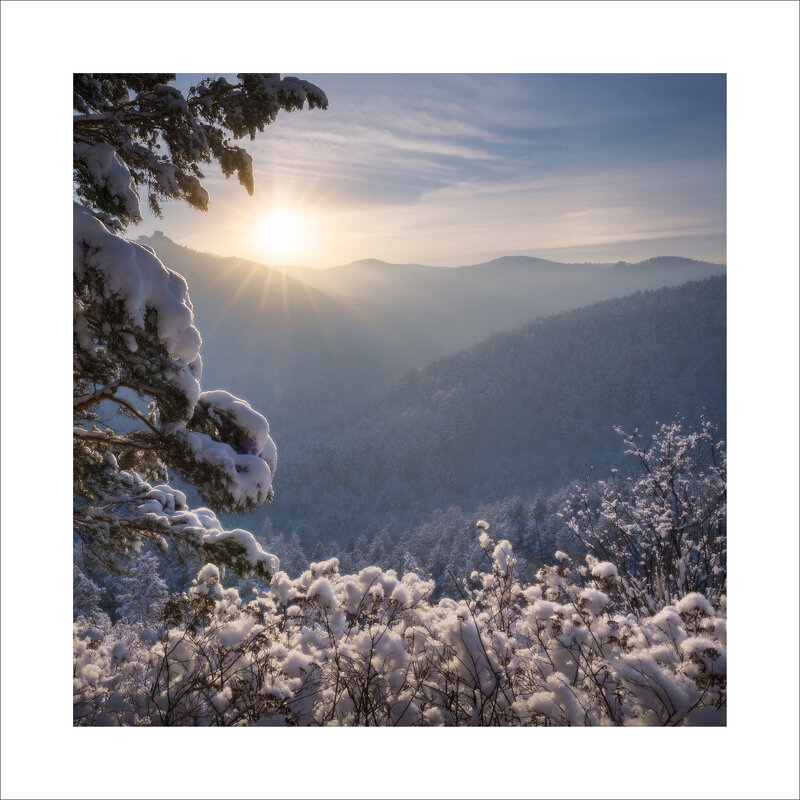 * - Александр Иванов