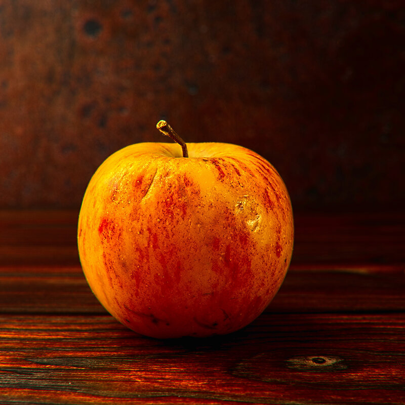 (°-°) - Jakob Dick