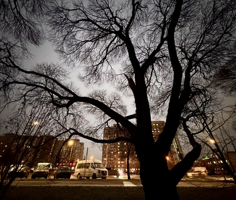 Вечер. - Любовь 