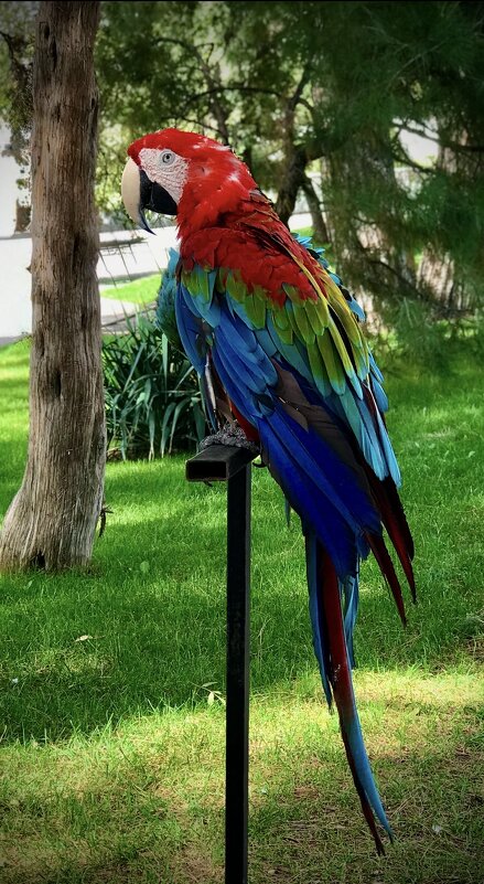 Летняя зарисовка) - Любовь 