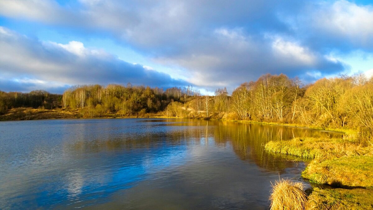 Зима, похожая на осень. - Милешкин Владимир Алексеевич 