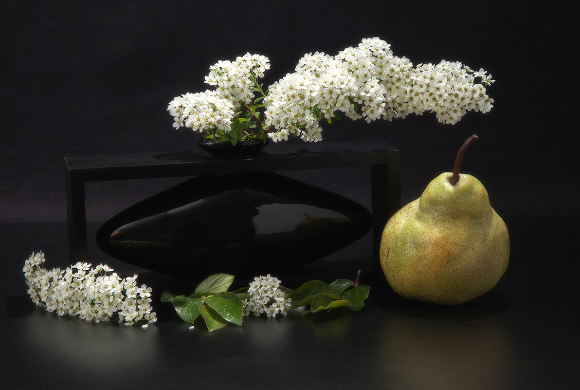 Натюрморт со спиреей и грушей. - Лилия *