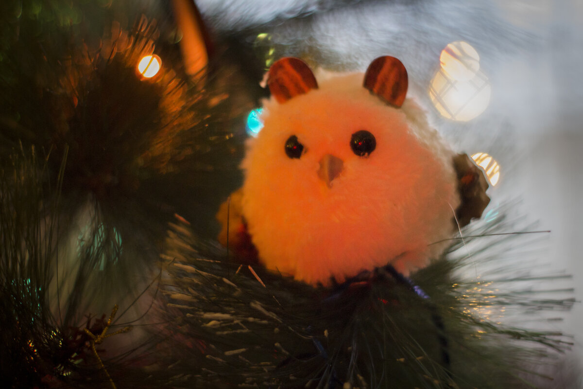 НГ - Тамара Федорова