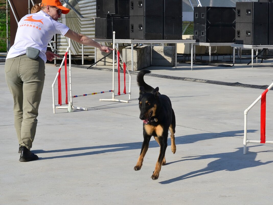 Задор - Александр Рыжов