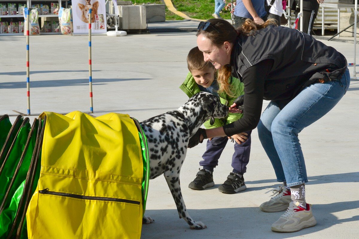Радость - Александр Рыжов