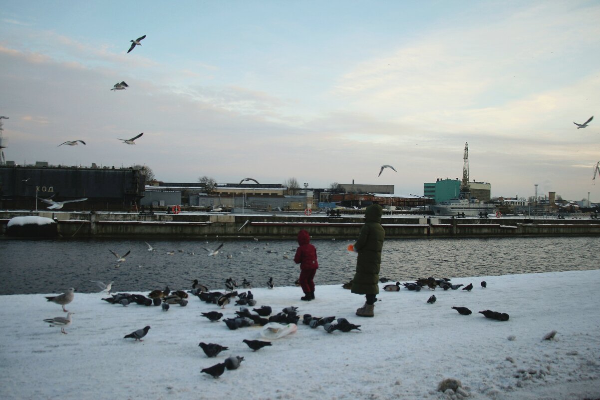 Зима 2025. Февраль - Наталья Герасимова