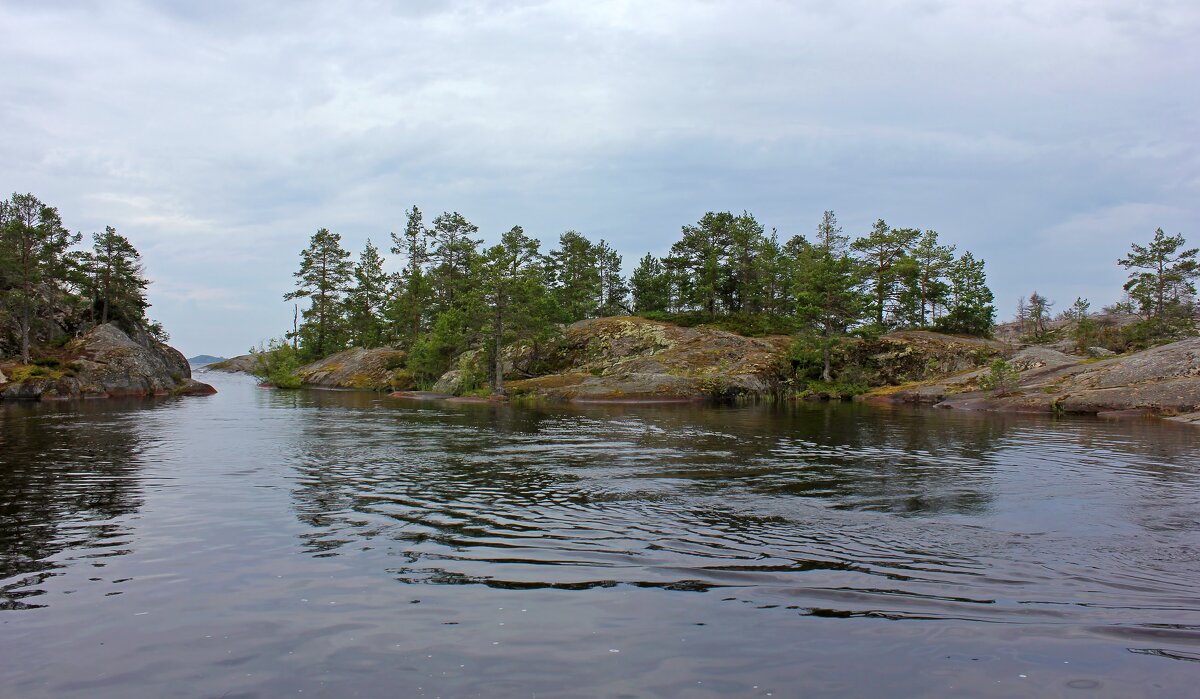 Причудливым образом - Владимир Соколов (svladmir)