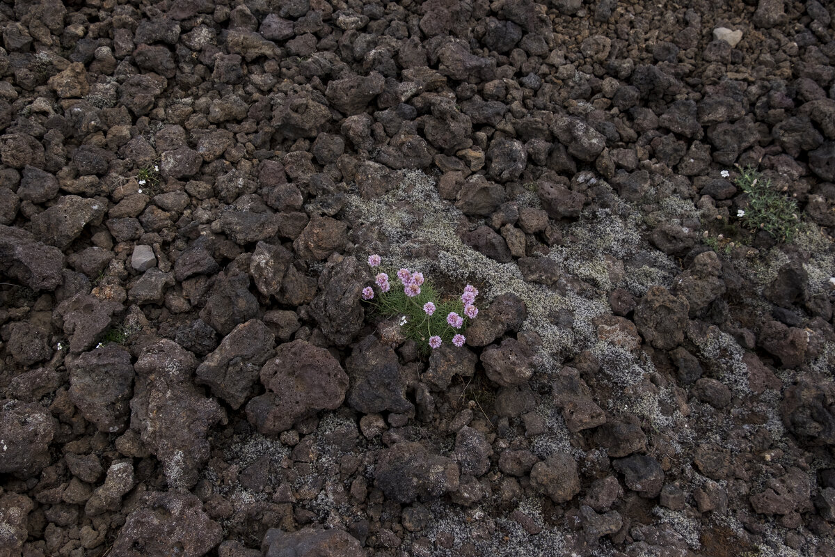 Исландия остывший вулкан - Александр Липовецкий