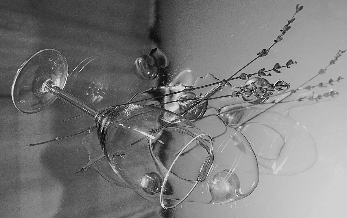 111 - Василий Палий