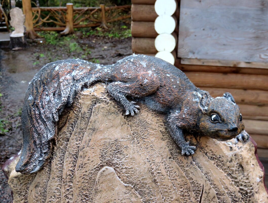 Белочка в парке Рускеала. - Ирина ***