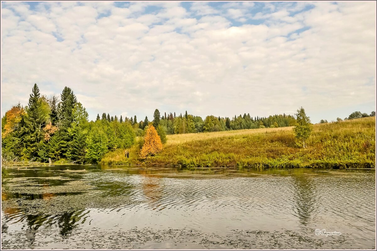Лесное озеро. - Aquarius - Сергей