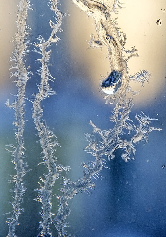 Ждём снега! - Валентина  Нефёдова 