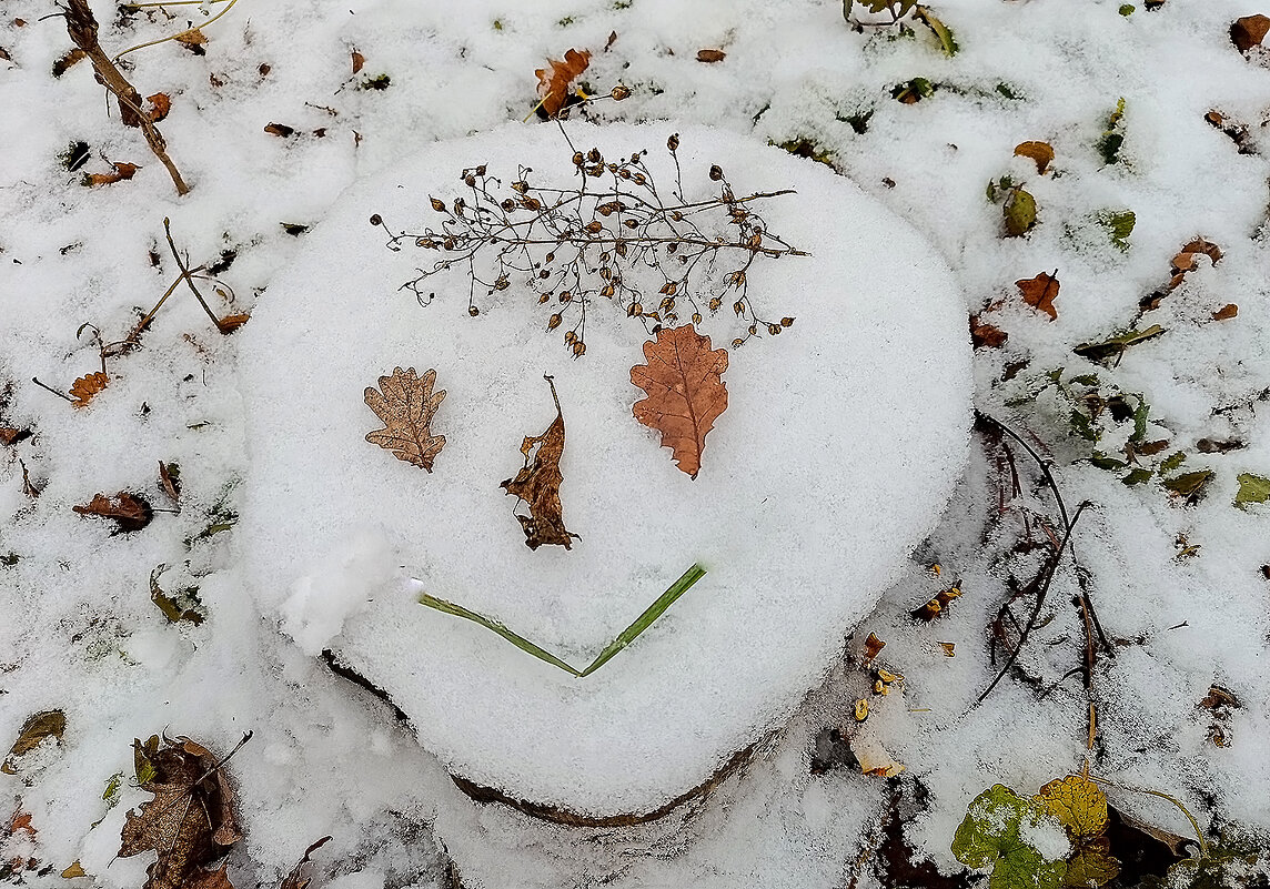 Улыбнулись! Хорошего вам настроения! - Валентина  Нефёдова 