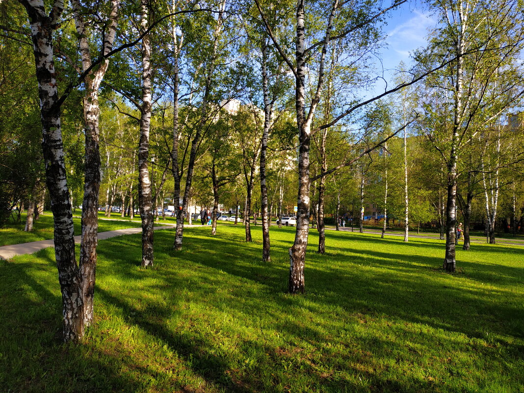 Мне всегда есть ЧТО вспомнить - Андрей Лукьянов