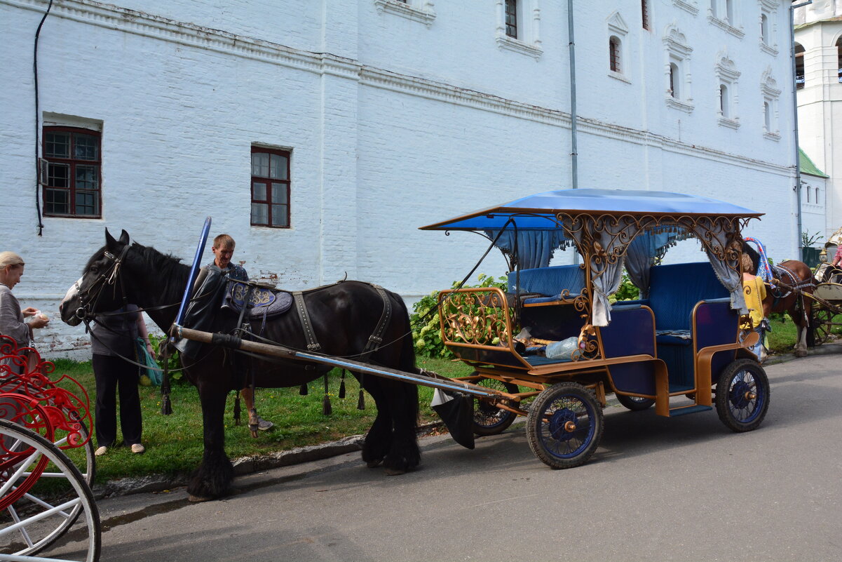 такие разные лошадки... - Галина R...