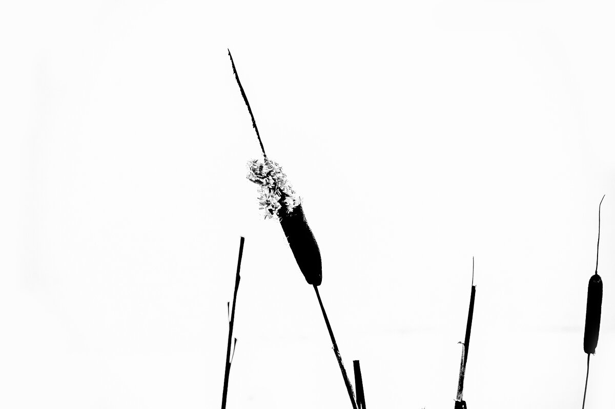 Зимняя графика - Валерий Иванович