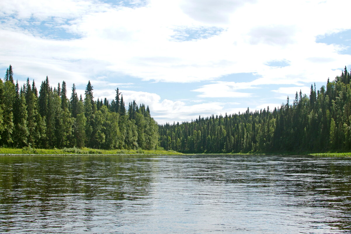 Река. - ВикТор Быстров