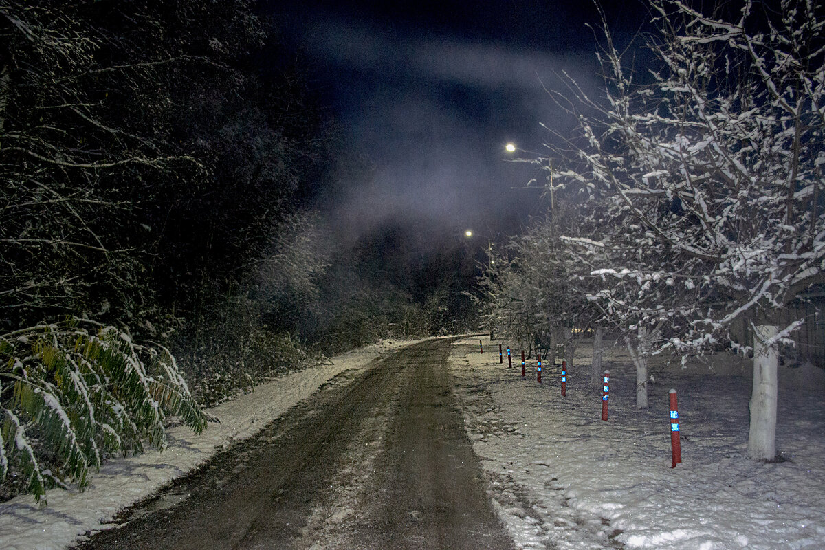 Дорога в ночи - Сергей Цветков