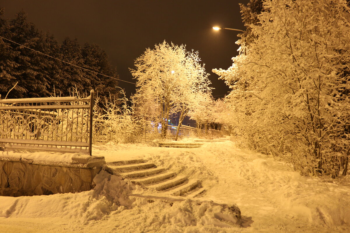 Ночная жизнь - Ольга 