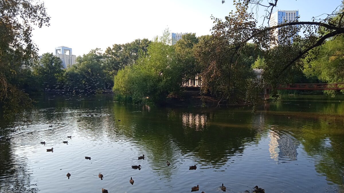 В Харитоновском парке - Елена Шаламова