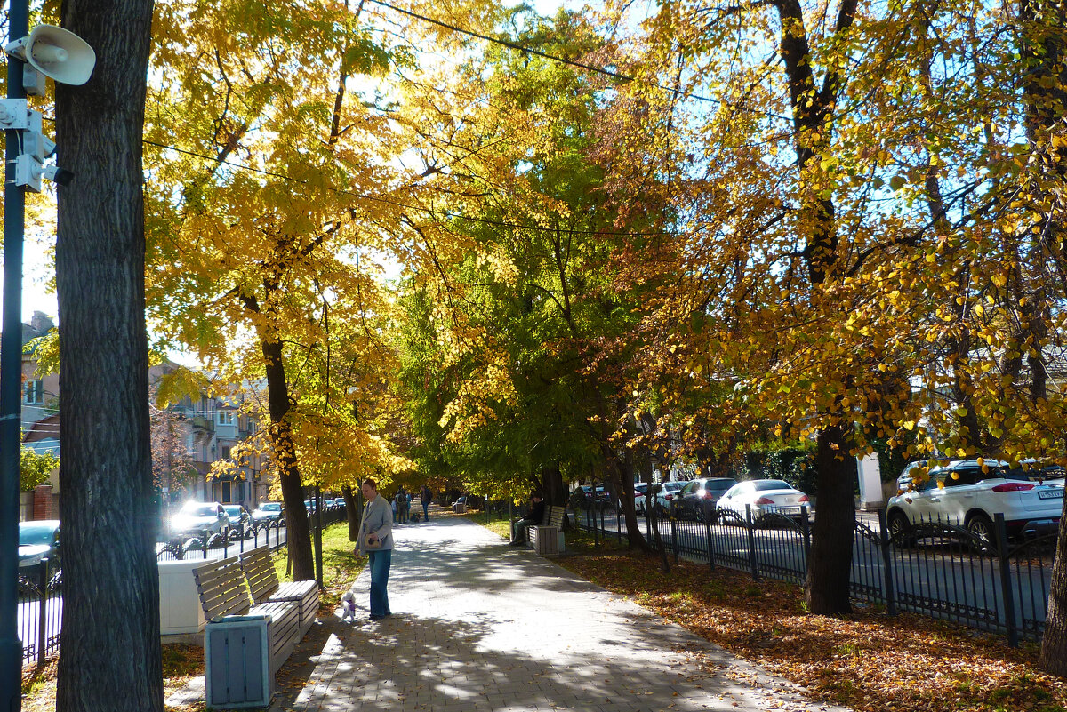 Осень золотая - Валентин Семчишин