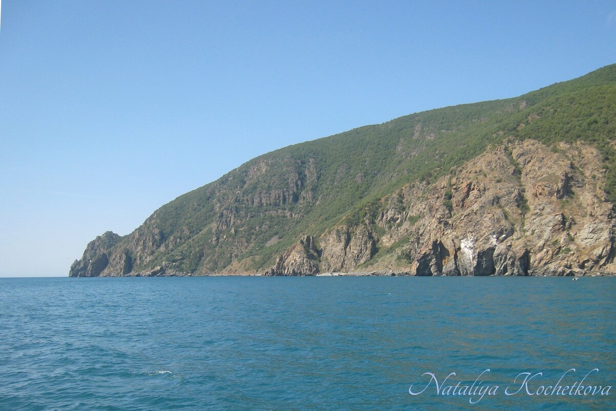 Природа Крыма - Amazing Cosmea