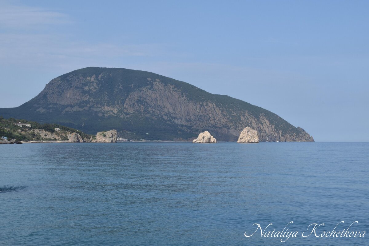 Природа Крыма - Amazing Cosmea