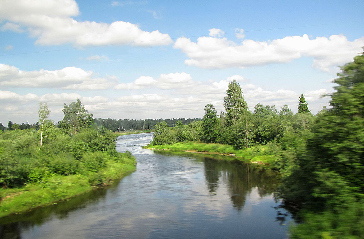 Река Чагода в районе поселка Первомайский - Александр Ильчевский 