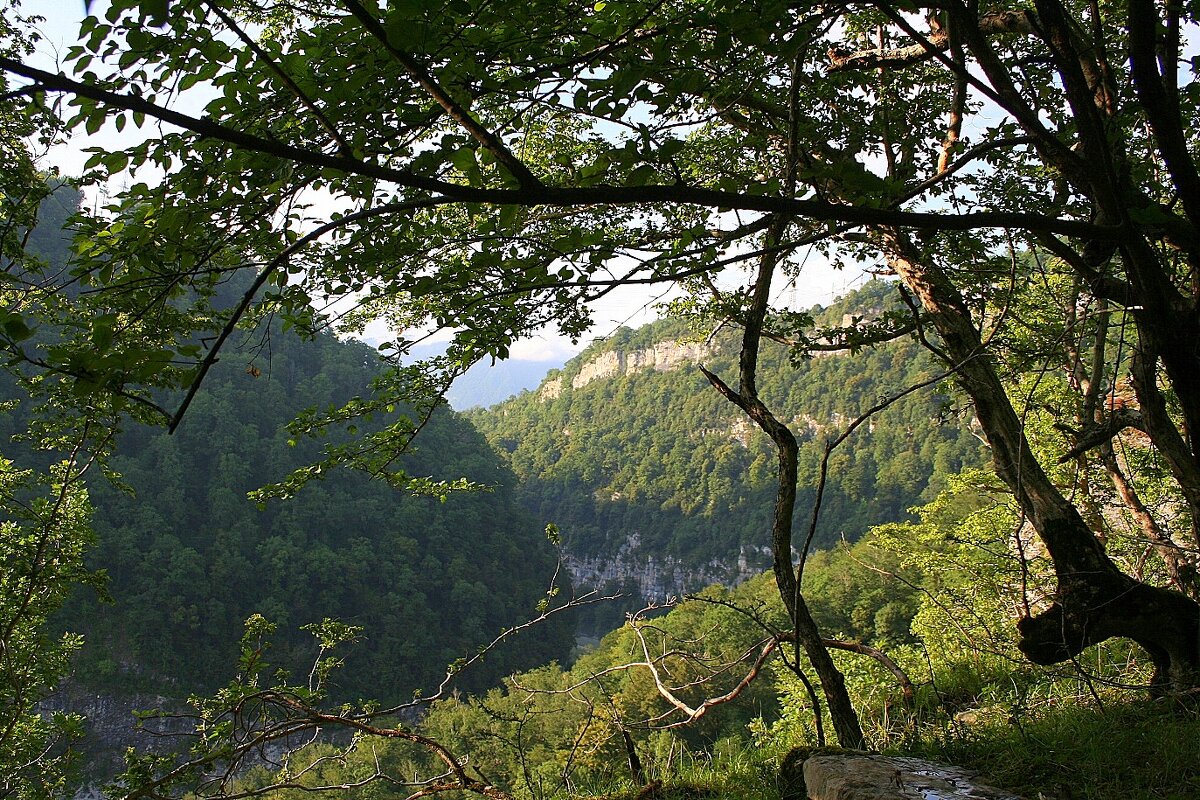 Ахштырское ущелье Сочи - Tata Wolf