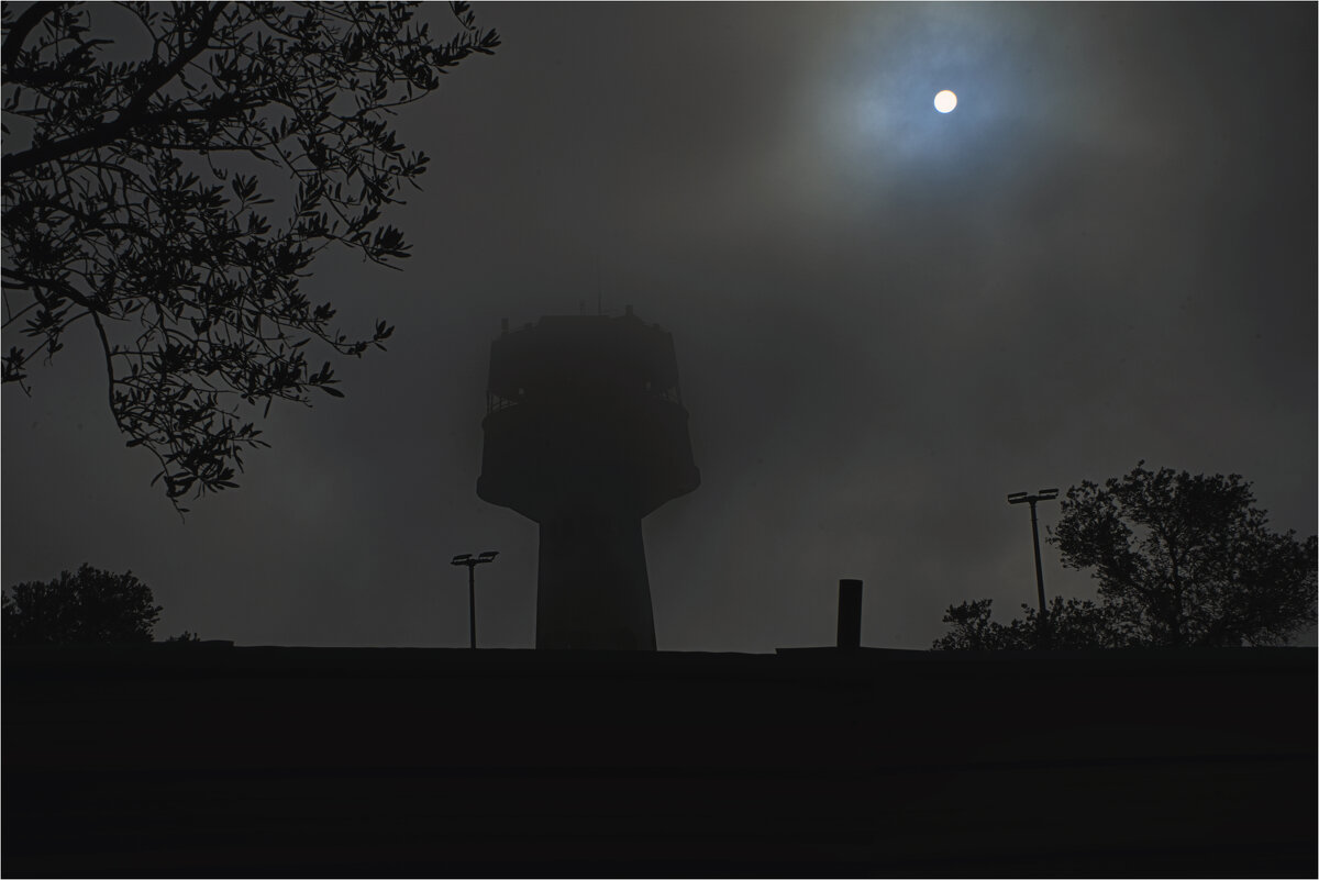 Мигдаль аЭмек 2025г  Утро 11,44 большой туман после дождей - ujgcvbif 