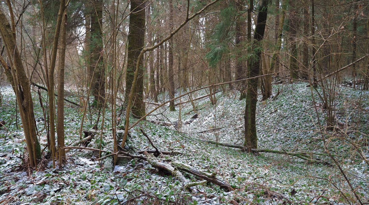 Уже не Осень - юрий поляков Уже не Осень - юрий поляков