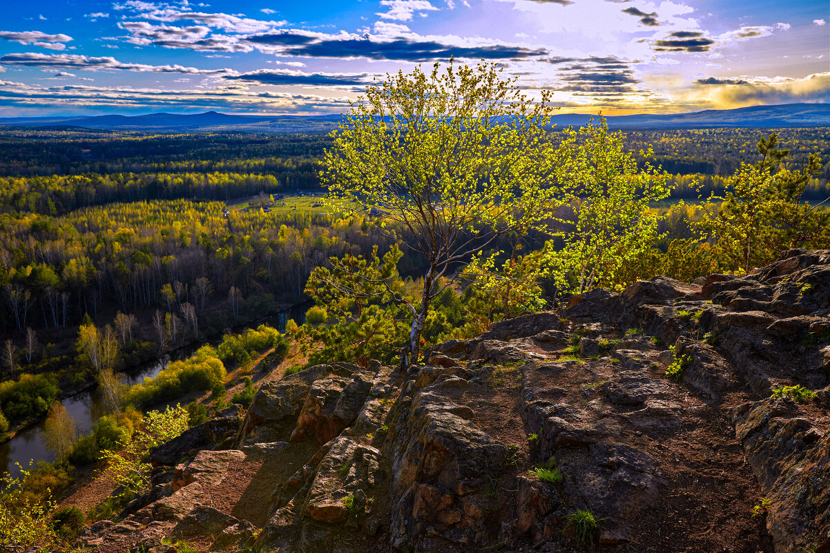 В цвете майского заката. - Юрий кот В цвете майского заката. - Юрий кот