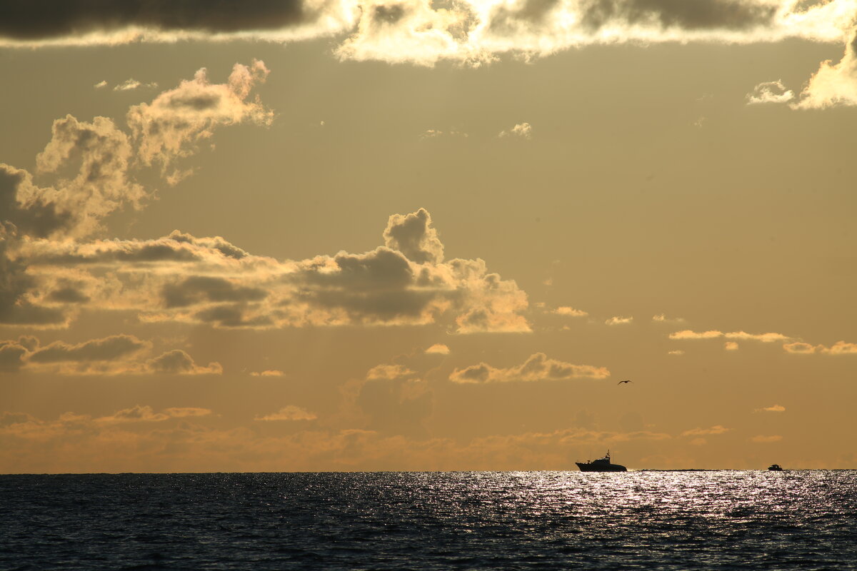Морской пейзаж - Валерий 