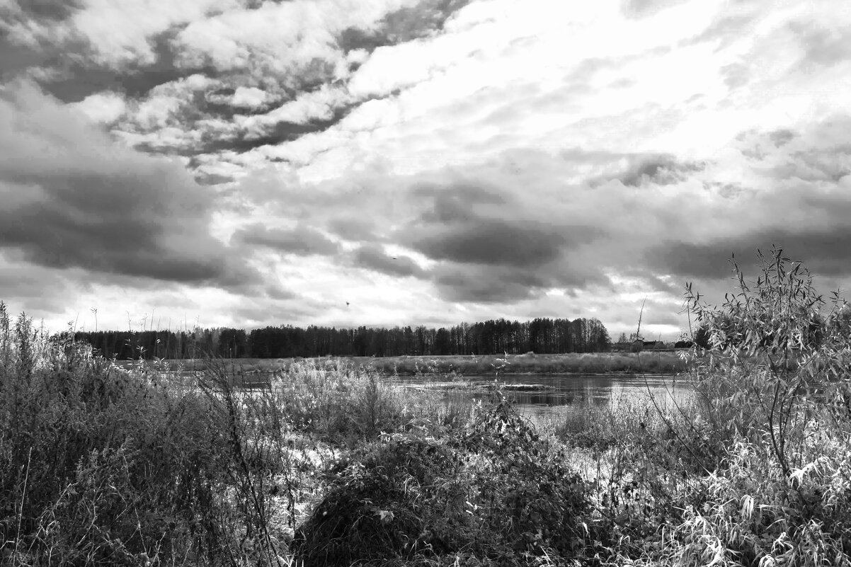 Б/Н - Николай 