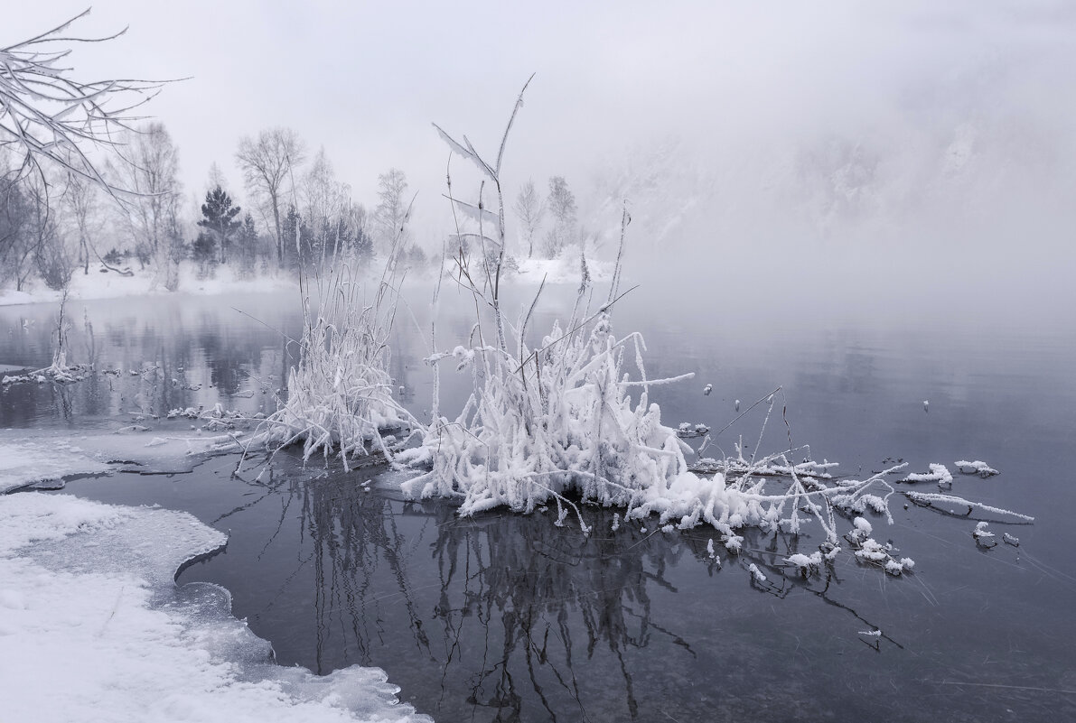 Морозный Енисей - Марина Фомина.