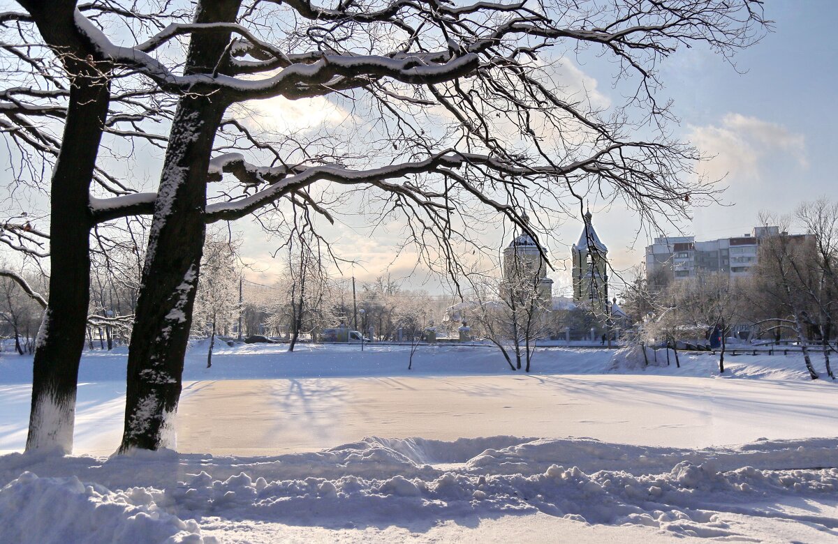 Солнечный день - ZNatasha -