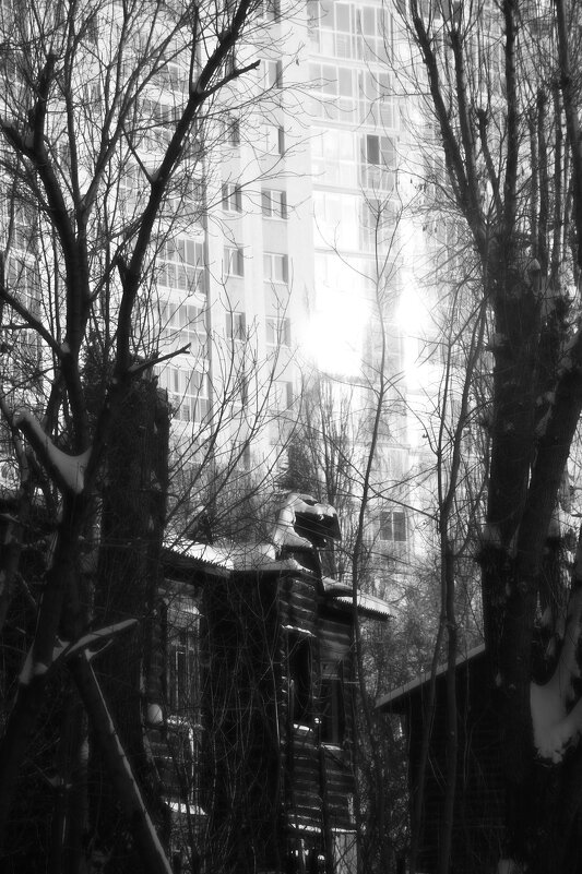 *** - Сергей Сергеев