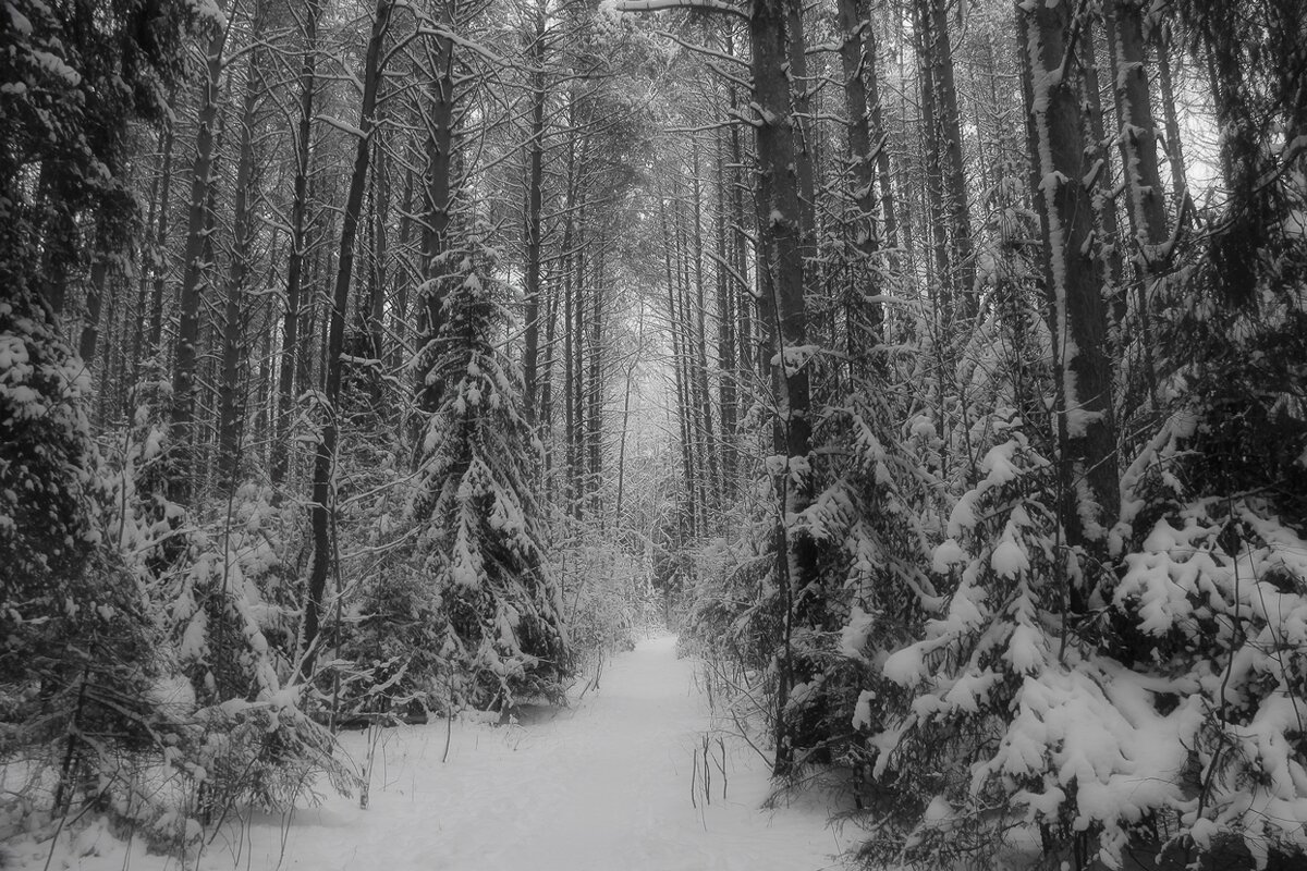 а вот и снежок  выпал - Владимир иванов