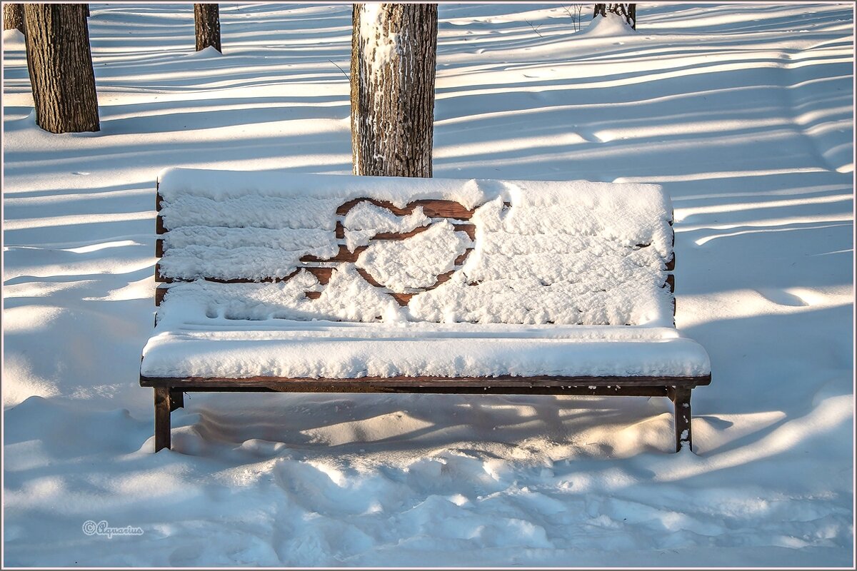 В зимнем парке... - Aquarius - Сергей В зимнем парке... - Aquarius - Сергей