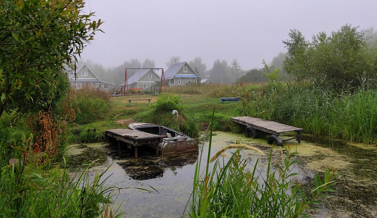 Медведицкое на Волге - Дмитрий Балашов