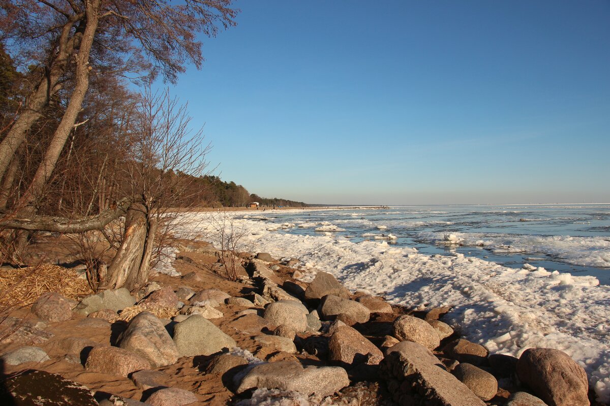 Весна 2025. Март - Наталья Герасимова