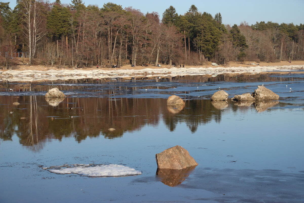 Весна 2025. Март - Наталья Герасимова Весна 2025. Март - Наталья Герасимова